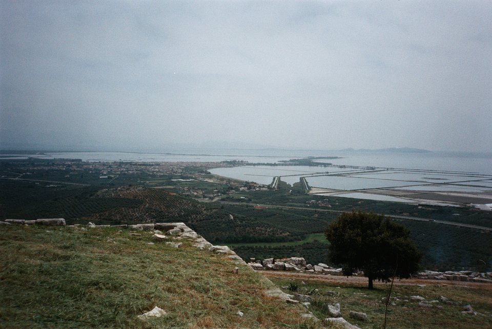06